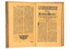 bild_11.jpg