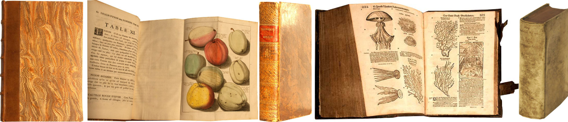 Antiquarische Bücher